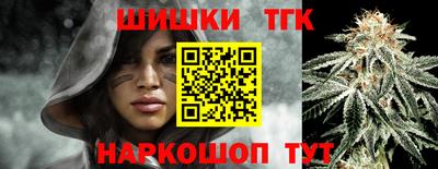 индика Лесосибирск