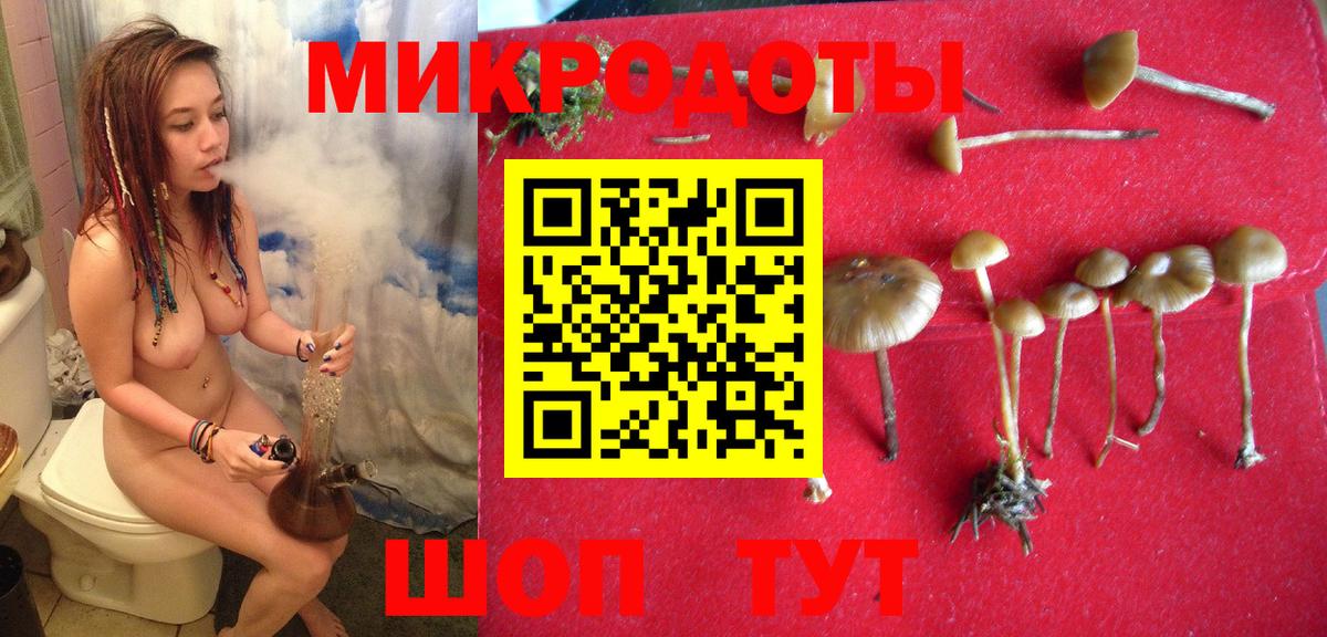 Галлюциногенные грибы Magic Shrooms  цена   Соликамск  Вход с VPN  Псилоцибиновые грибы Cubensis 